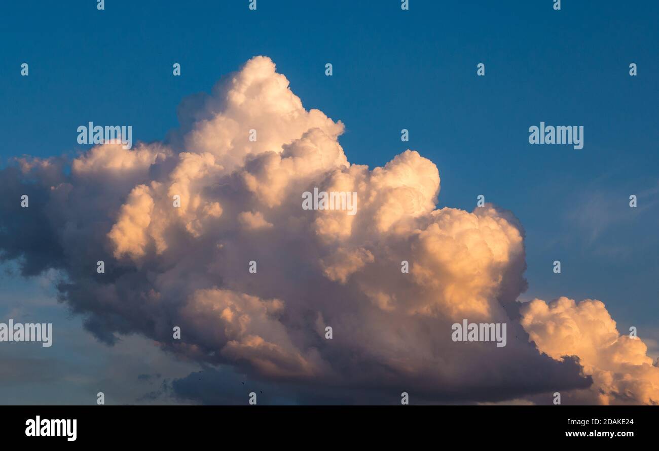 Un nuage massif magnifiquement éclairé par le soleil couchant (cumulus congestus ou cumulus géant). Banque D'Images
