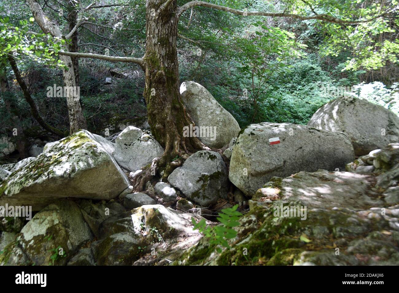 Bivongi RC - Fiumara Stilaro , vallon Folea crédit : Giuseppe Andidero Banque D'Images