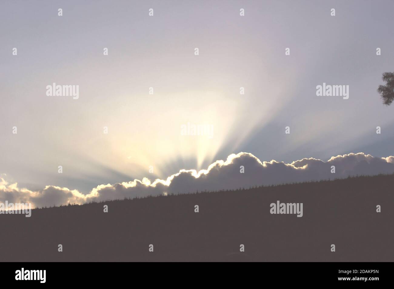 Les nuages Cumulus à grand angle cachent le coucher du soleil derrière les silhouettes montées Ligne de l'arbre création de rayons crépusculaires atteignant les cieux bleus Banque D'Images