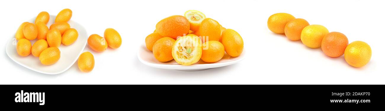 Collage de cumquats sur fond blanc Banque D'Images