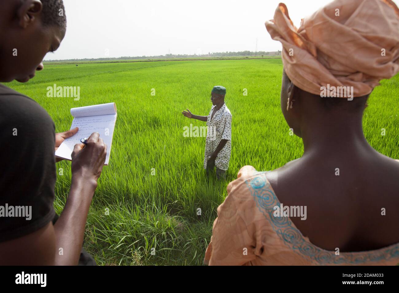 Selingue, Mali, 28 avril 2015; Madame Sogoba, technicienne agricole, Conseiller le fermier Alou Doumbia. Il explique que sa récolte n'est pas très avancée Banque D'Images