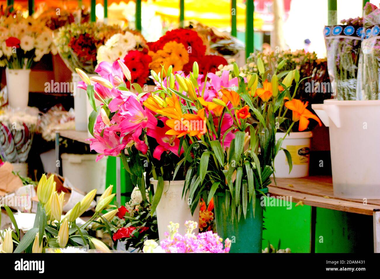 Fleurs en vente au marché vert, Split, Croatie Banque D'Images