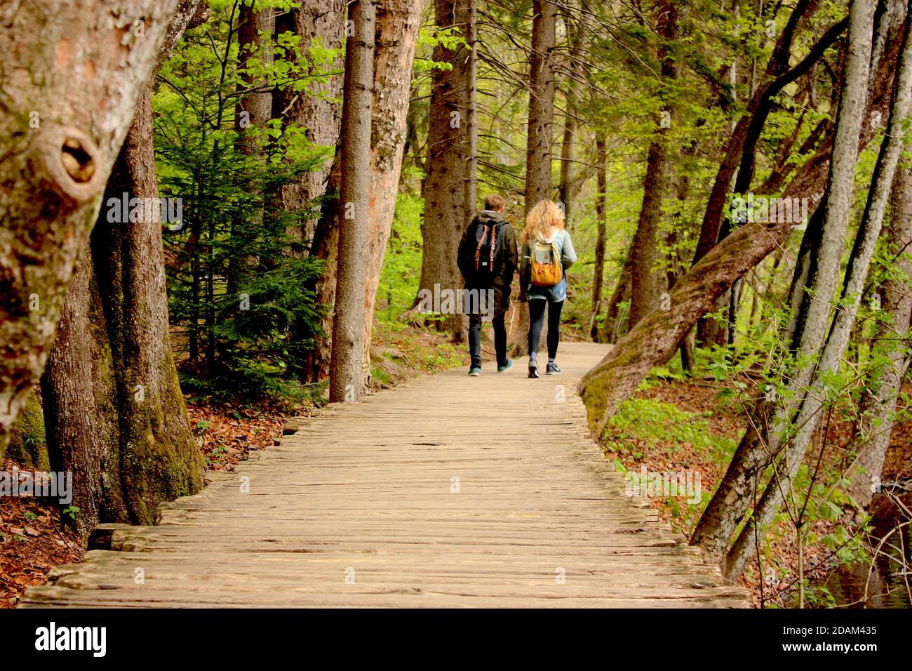 Couple marchant dans le parc national des lacs de Plitvice, Croatie Banque D'Images