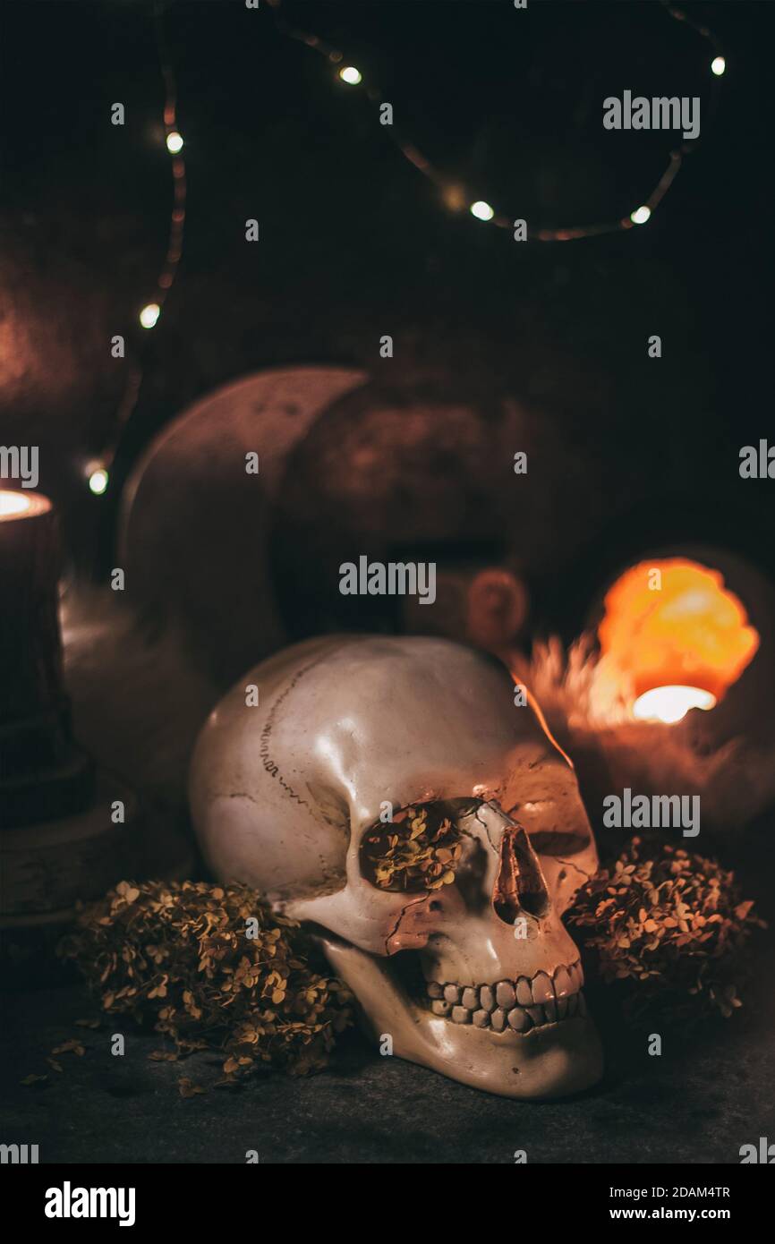 Rituel mystique occulte halloween scène sorcellerie - crâne humain, bougies, fleurs séchées, lune et hibou. Banque D'Images