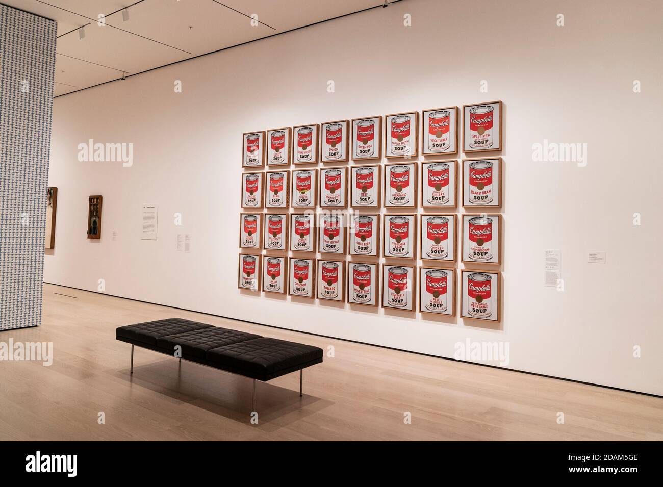 New York, États-Unis. 13 novembre 2020. Andy Warhol Campbell Soup canettes 32 toiles en vue lors de l'ouverture du crédit MoMA: SIPA USA/Alay Live News Banque D'Images