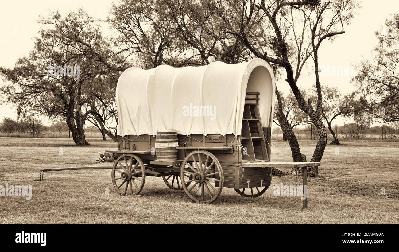 Vieux wagon sauvage couvert ouest au Texas avec arbres Mesquite en sépia noir et blanc. Banque D'Images