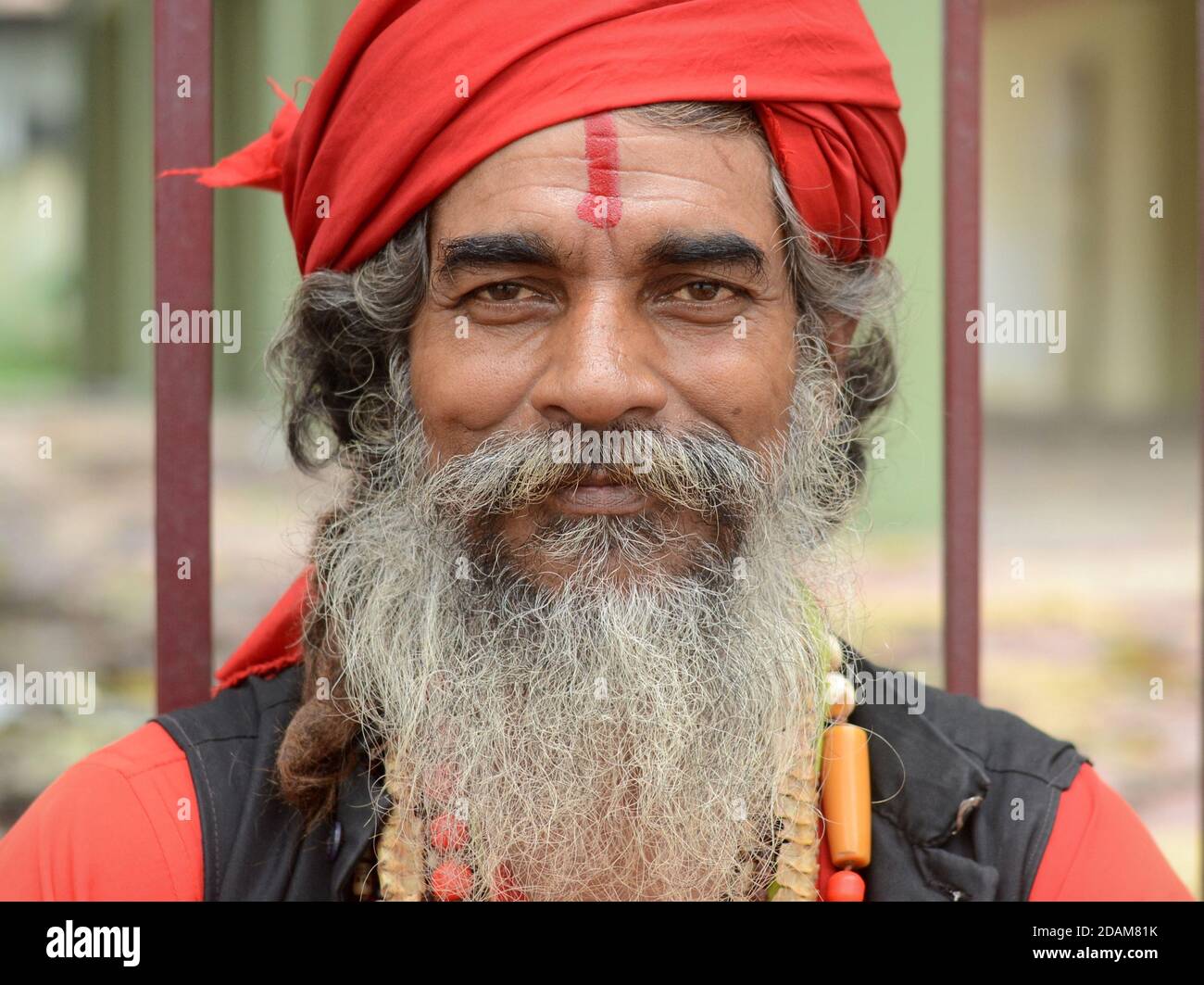 Professionnel indien de la fortune de teller et mystique avec le turban rouge et la marque rouge tilak sur son front pose pour la caméra. Banque D'Images