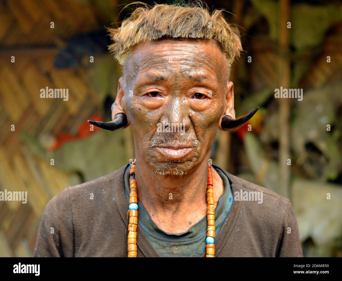 Ancien guerrier Konyak Naga et ex-chasseur de tête avec tatouage facial, coiffure tribale et des cornes de cerf dans ses lobes auriculaires pose pour la caméra (photo frontale). Banque D'Images