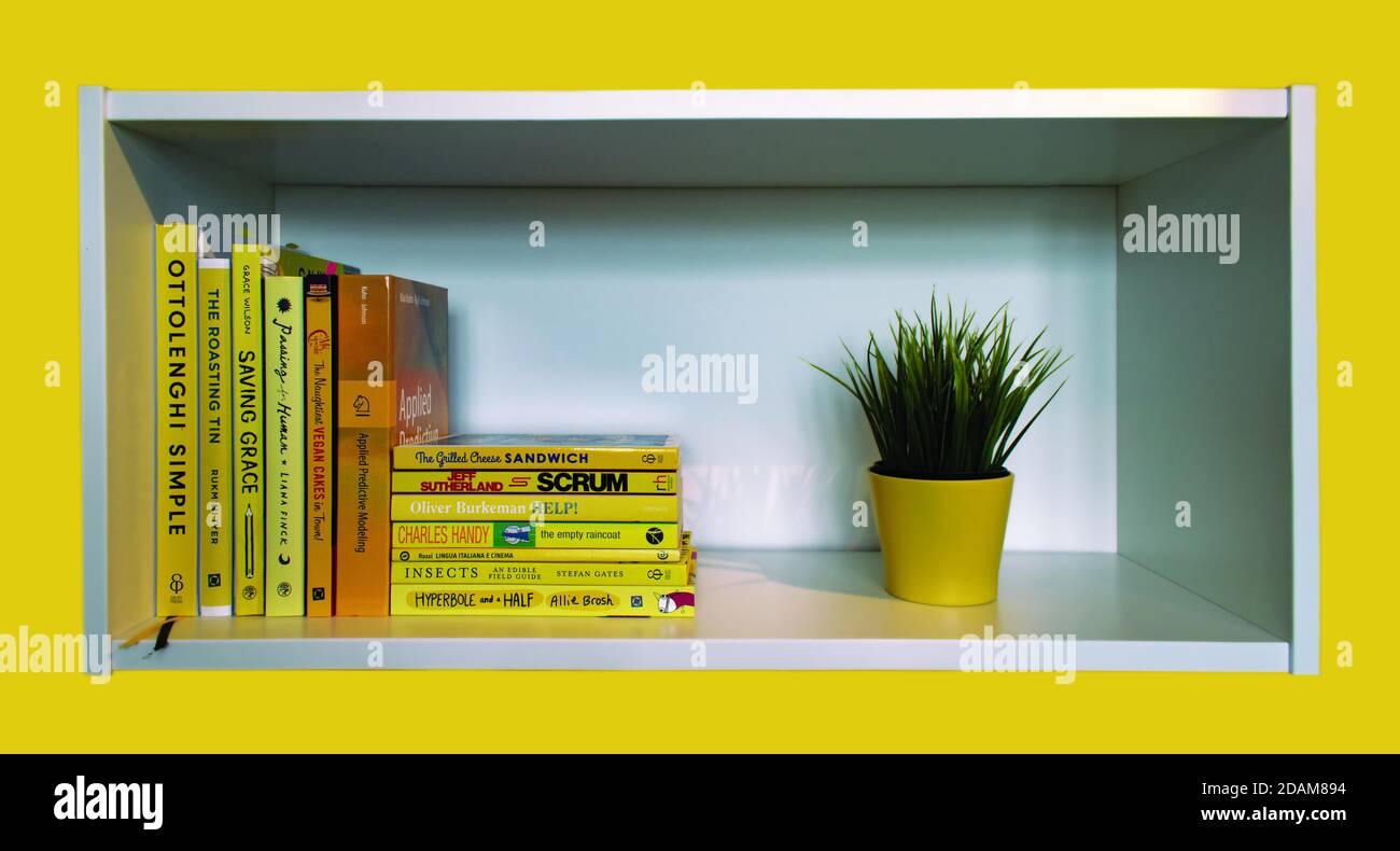 Étagère avec une collection de livres jaunes sur tous les sujets Banque D'Images