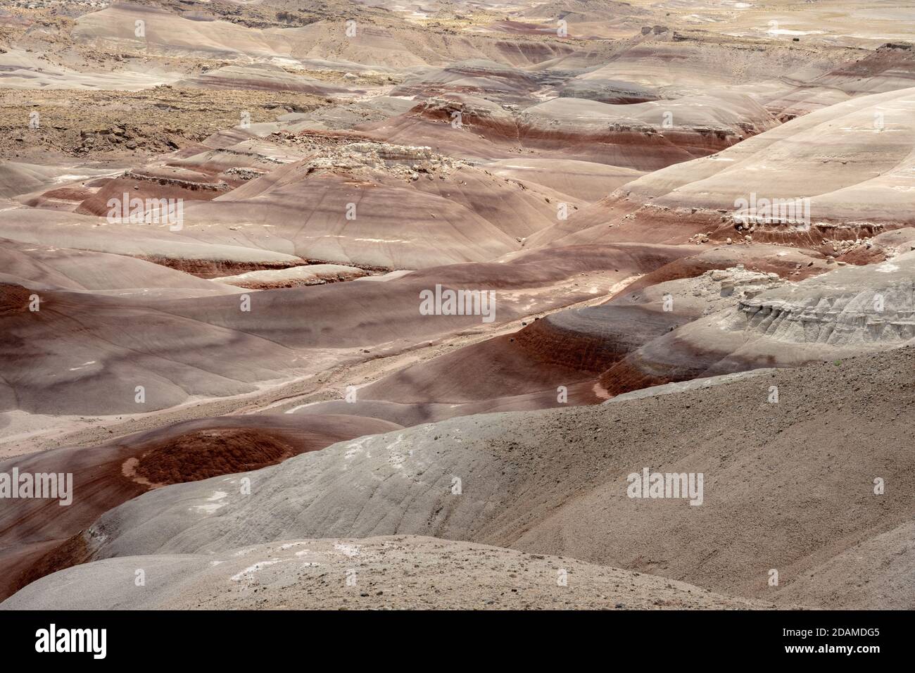 Les collines bentonite de Red et de Tan s'étendent sur la nature sauvage du désert Banque D'Images