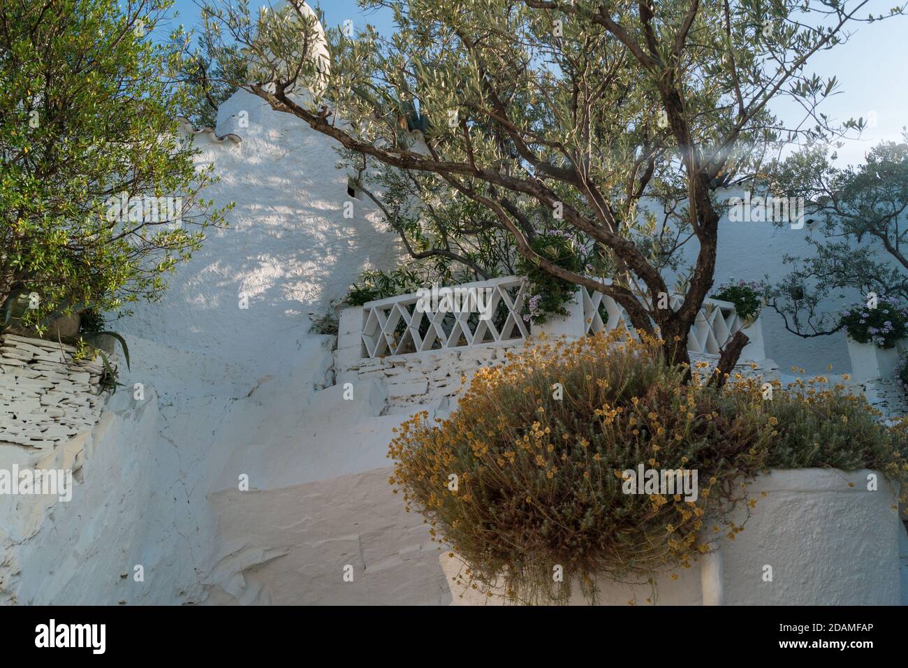 Un beau jardin méditerranéen avec des plantes et des arbres Banque D'Images