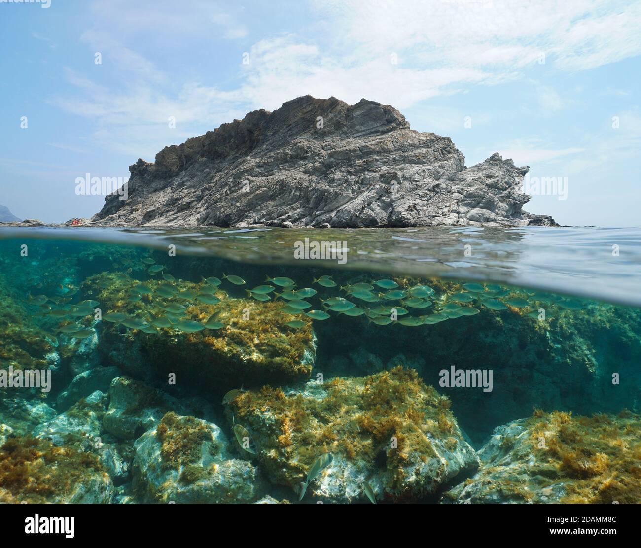 Étrange île rocheuse en forme d'animal avec une école de poissons sous l'eau, vue partagée sur et sous la surface de l'eau, mer Méditerranée, Espagne Banque D'Images