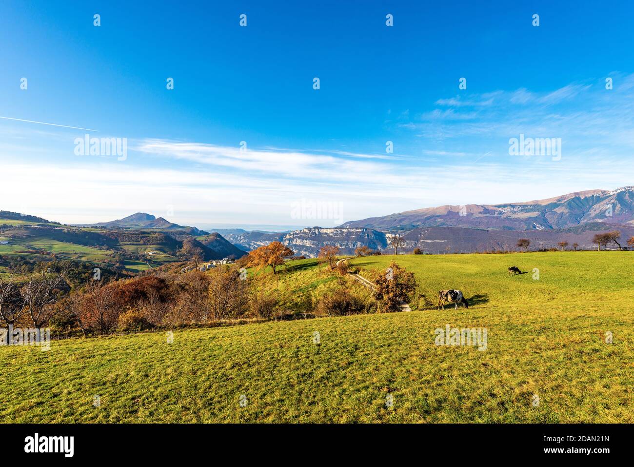 Pâturage vert sur le plateau de Lessinia en automne, à droite le Monte Baldo (montagne de Baldo), Alpes italiennes, province de Vérone, Vénétie, Italie, Europe. Banque D'Images