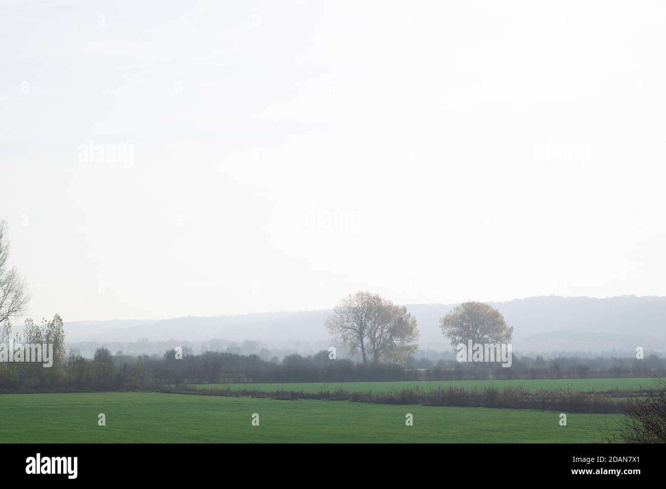 Paysage de polder hollandais brumeux aux pays-Bas, en Europe Banque D'Images