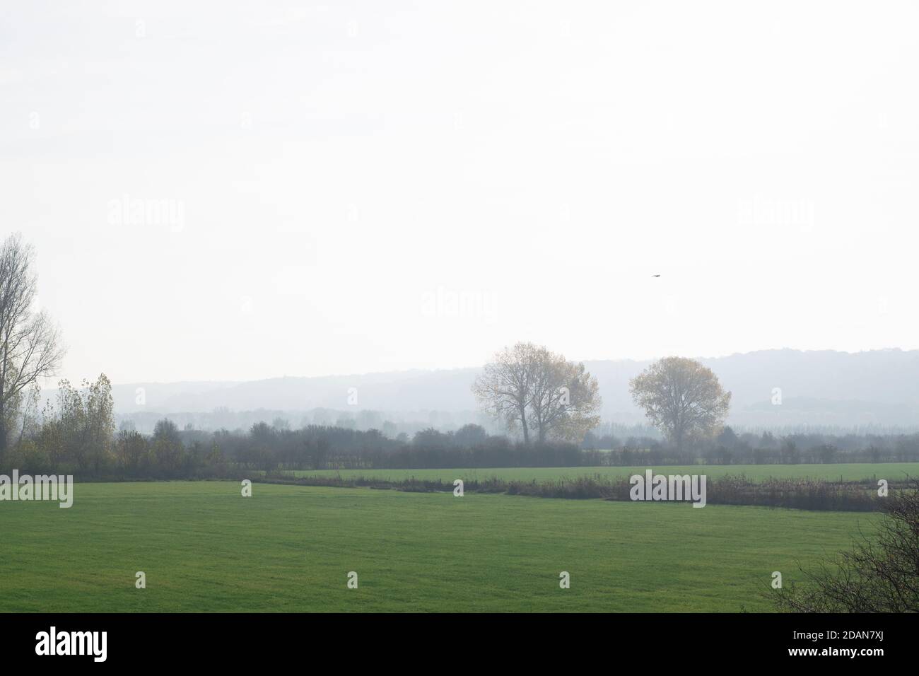 Paysage de polder hollandais brumeux aux pays-Bas, en Europe Banque D'Images