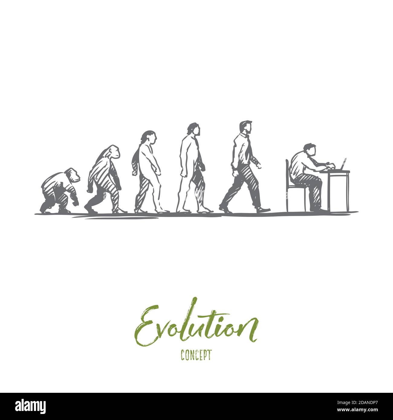 Évolution, homme d'affaires, programmeur, concept primitif. Vecteur isolé tracé à la main. Illustration de Vecteur