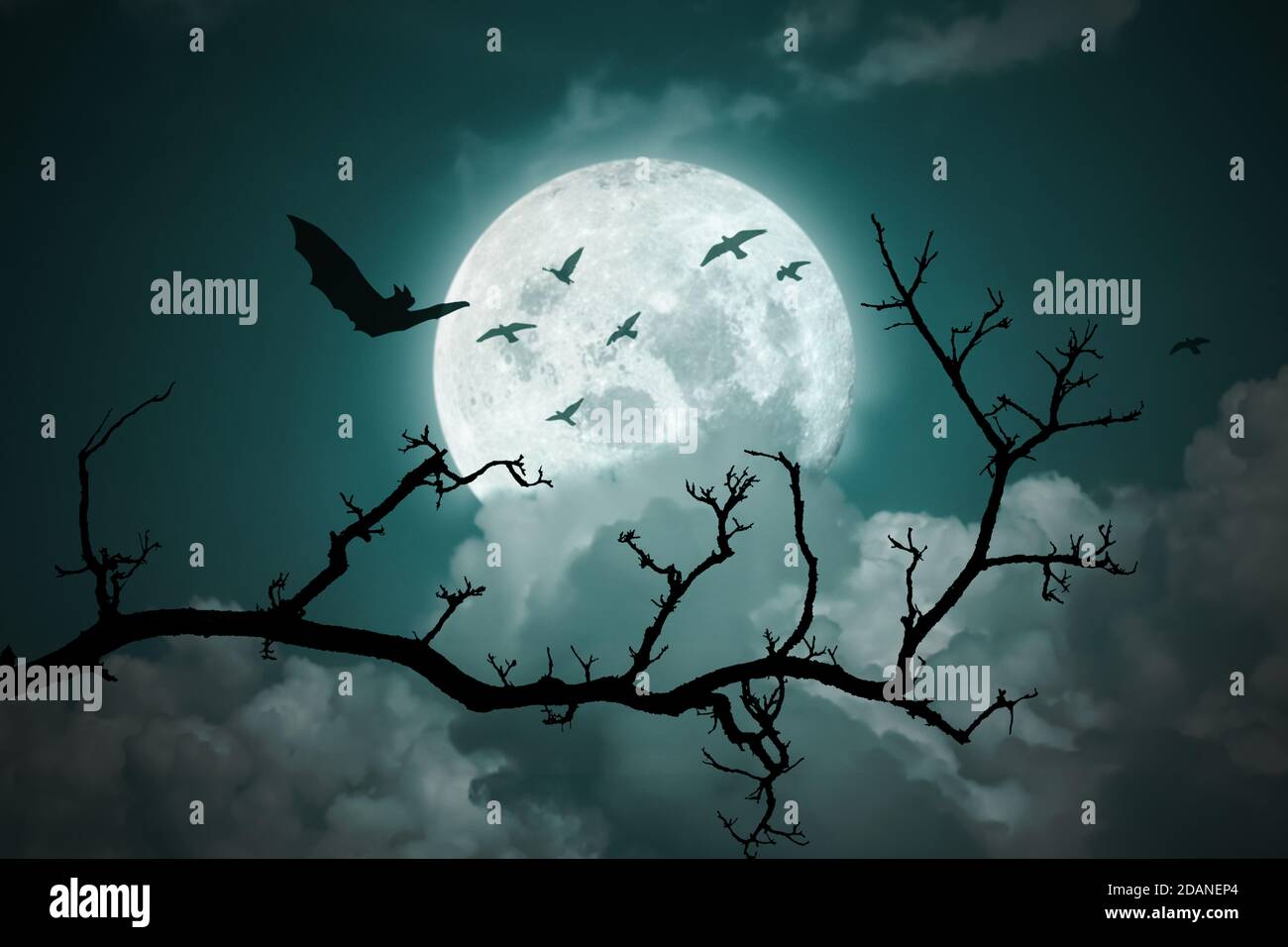 Arrière-plan de Halloween. Pleine lune dans le ciel nocturne. Banque D'Images