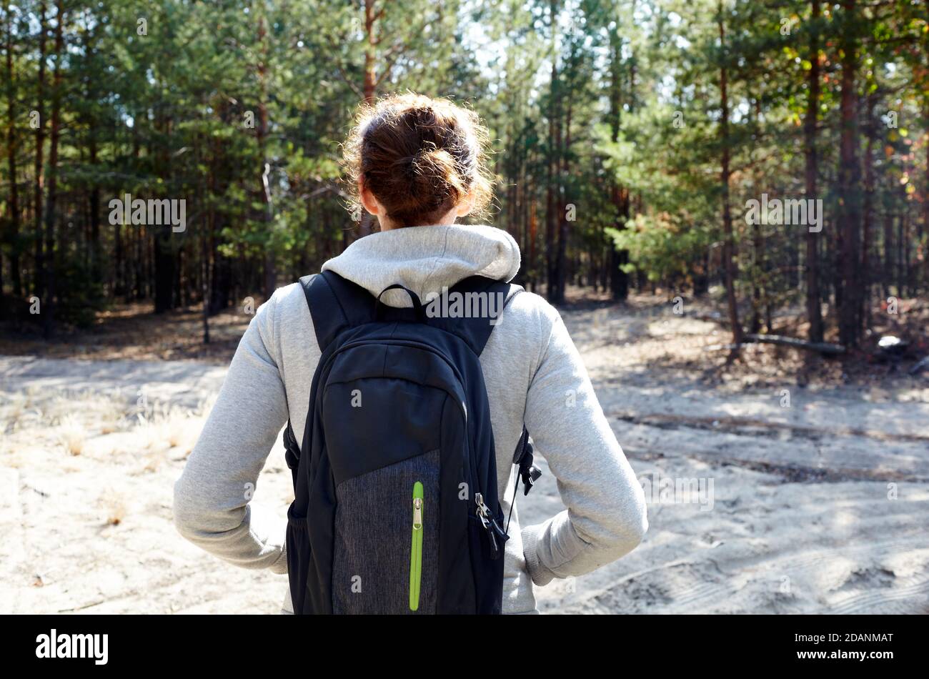 Femme de randonnée avec sac à dos marche sur le chemin dans la forêt d'automne, vue arrière. Randonnée et aventure Banque D'Images