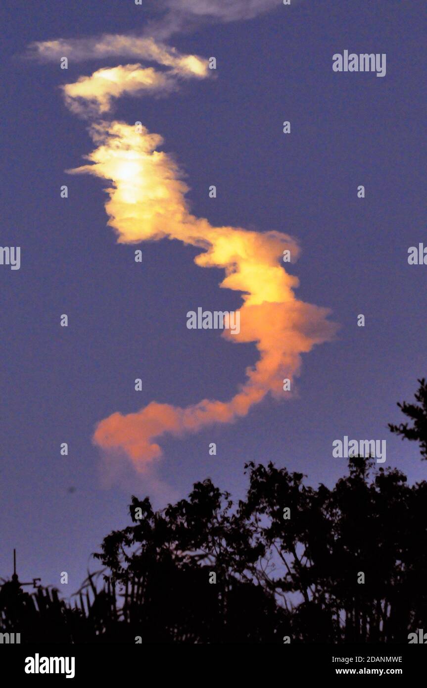 Melbourne Bean, Comté de Brevard, Floride, États-Unis. 13 novembre 2020. Une roquette Atlas V de l'United Launch Alliance (ULA) transportant la mission NROL-101 pour le Bureau national de reconnaissance (NRO) a décollé le 13 novembre à 5 h 32 HNE du complexe spatial de lancement-41 à la station aérienne de Cape Canaveral. Crédit : Julian Leek/Alay Live News Banque D'Images