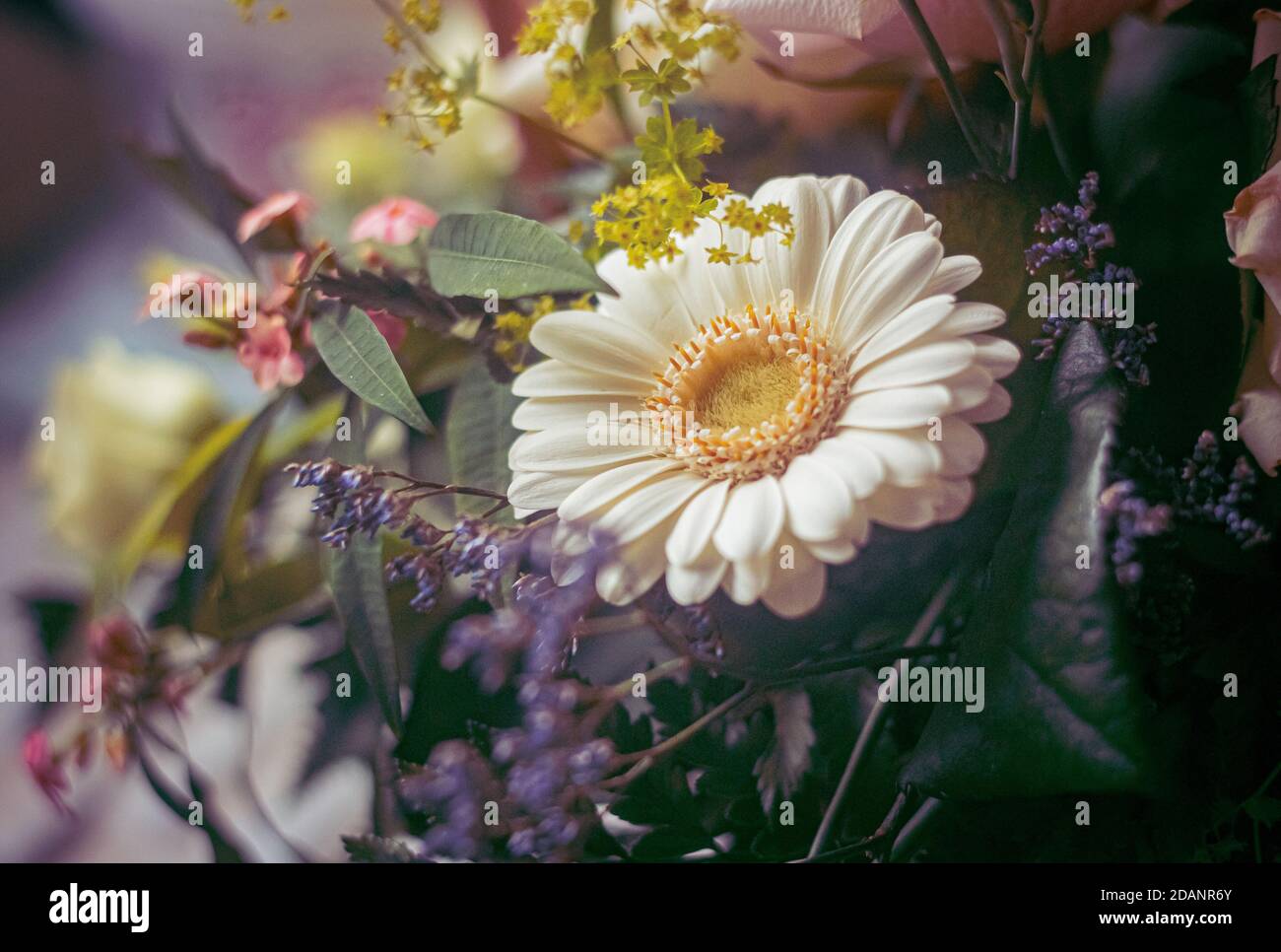 Bouquet de fleurs avec un mélange de fleurs, dont la lavande, une grande Marguerite et d'autres plantes florales ainsi que des plantes à feuilles. Banque D'Images