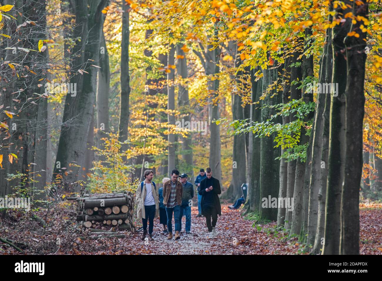Marcheurs / familles marchant le long de la forêt chemin dans les bois pendant week-end d'automne chargé Banque D'Images