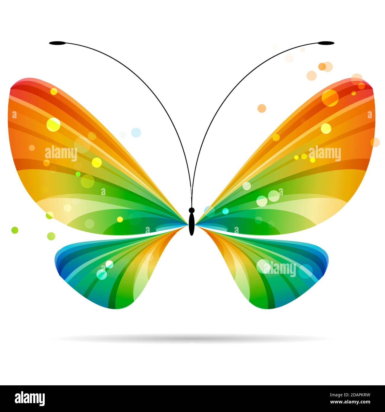 magnifique papillon coloré à rayures multicolores sur fond blanc, antennes noires, quatre ailes, deux paires d'ailes Banque D'Images