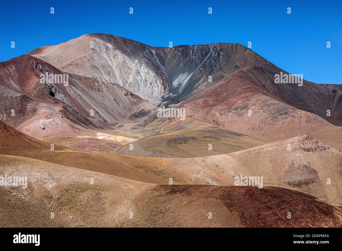 Paysage le long de la route 40, col de Piedra del Molino, parc national de Los Cardones, province de Salta, Argentine. Banque D'Images
