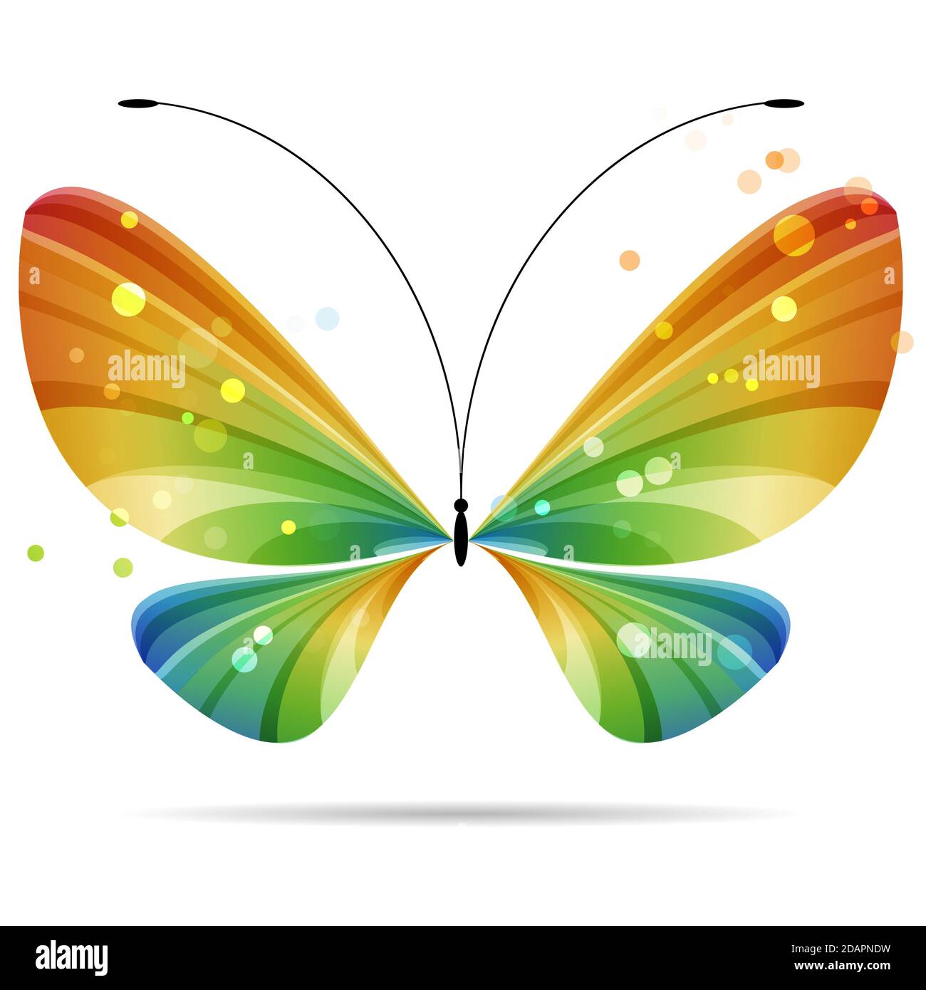 magnifique papillon coloré à rayures multicolores sur fond blanc, antennes noires, quatre ailes, deux paires d'ailes Illustration de Vecteur