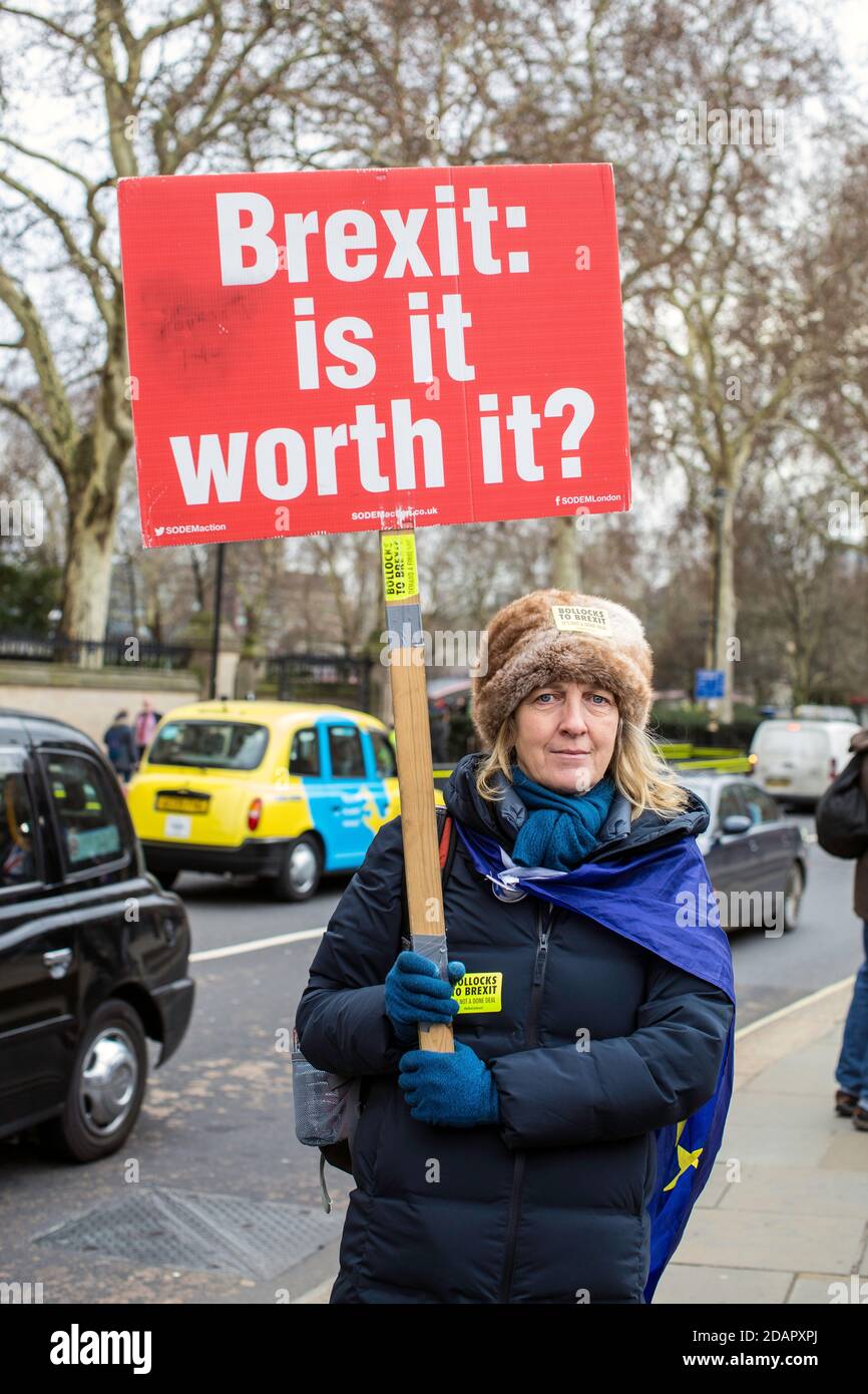 GRANDE-BRETAGNE / Angleterre / Londres / les militants anti-Brexit protestent devant les chambres du Parlement le 29 janvier 2019 à Londres, dans l'unité Banque D'Images