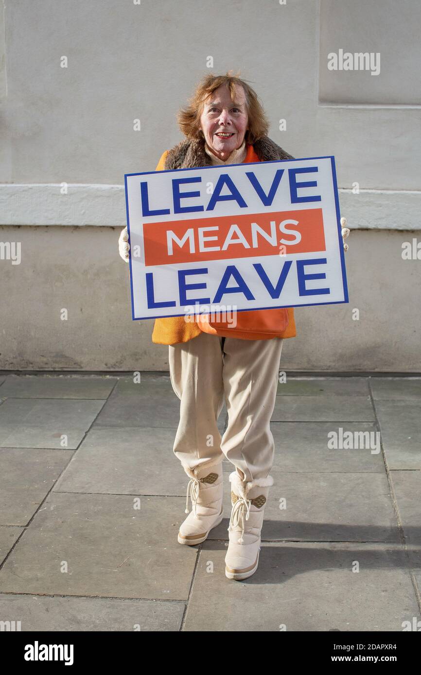 GRANDE-BRETAGNE / Angleterre / Londres / les militants pro-Brexit protestent devant les chambres du Parlement le 29 janvier 2019 à Londres, Royaume-Uni. Banque D'Images