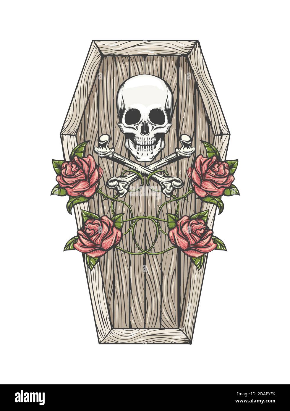 Crâne avec os et roses sur le couvercle de cercueil coloré Tattoo isolé sur blanc. Illustartion vectorielle. Illustration de Vecteur