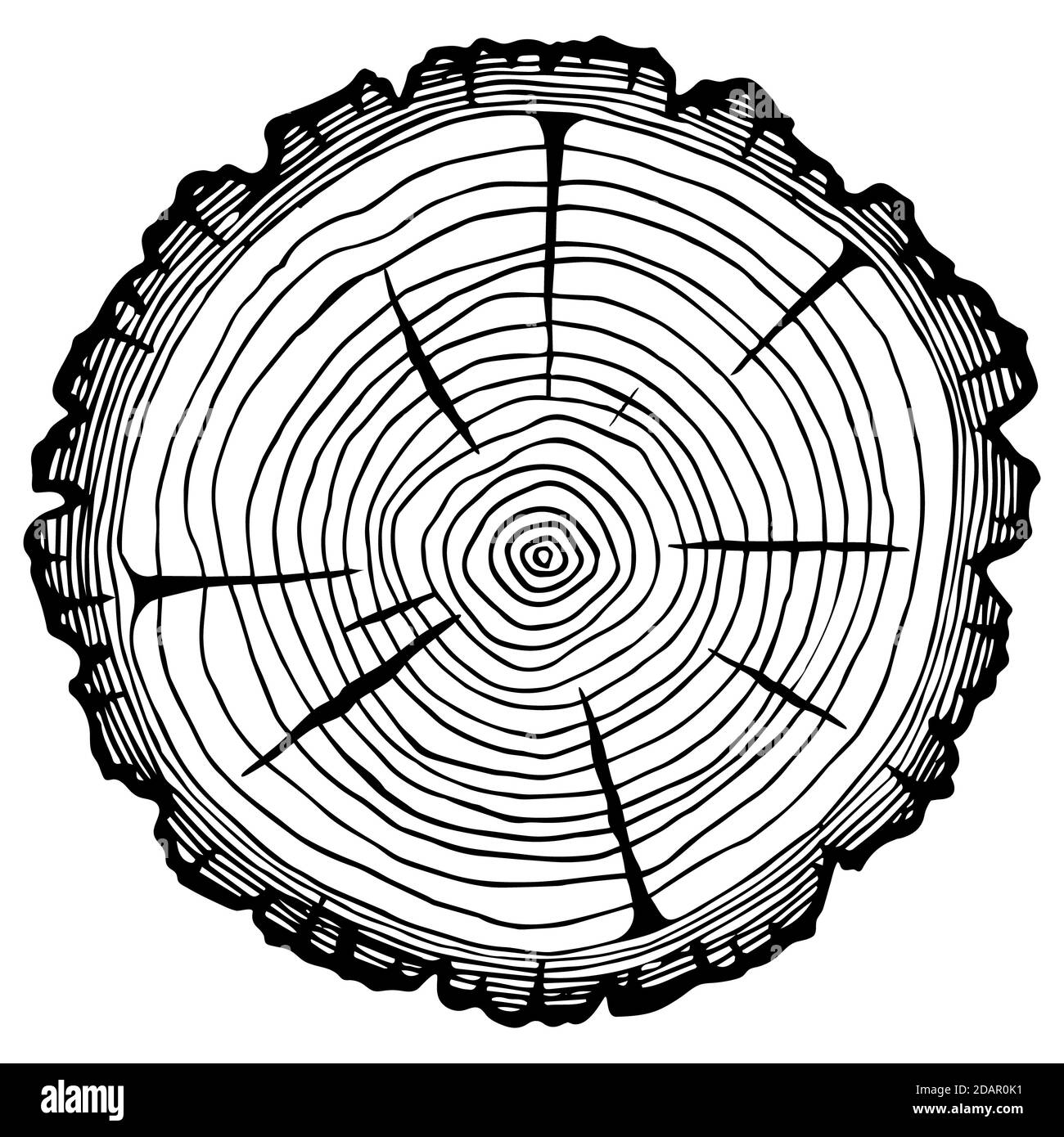 Coupe de grumes, récolte de bois de chauffage, scierie. Image vectorielle isolée sur fond blanc. Espace pour le texte. Banque D'Images