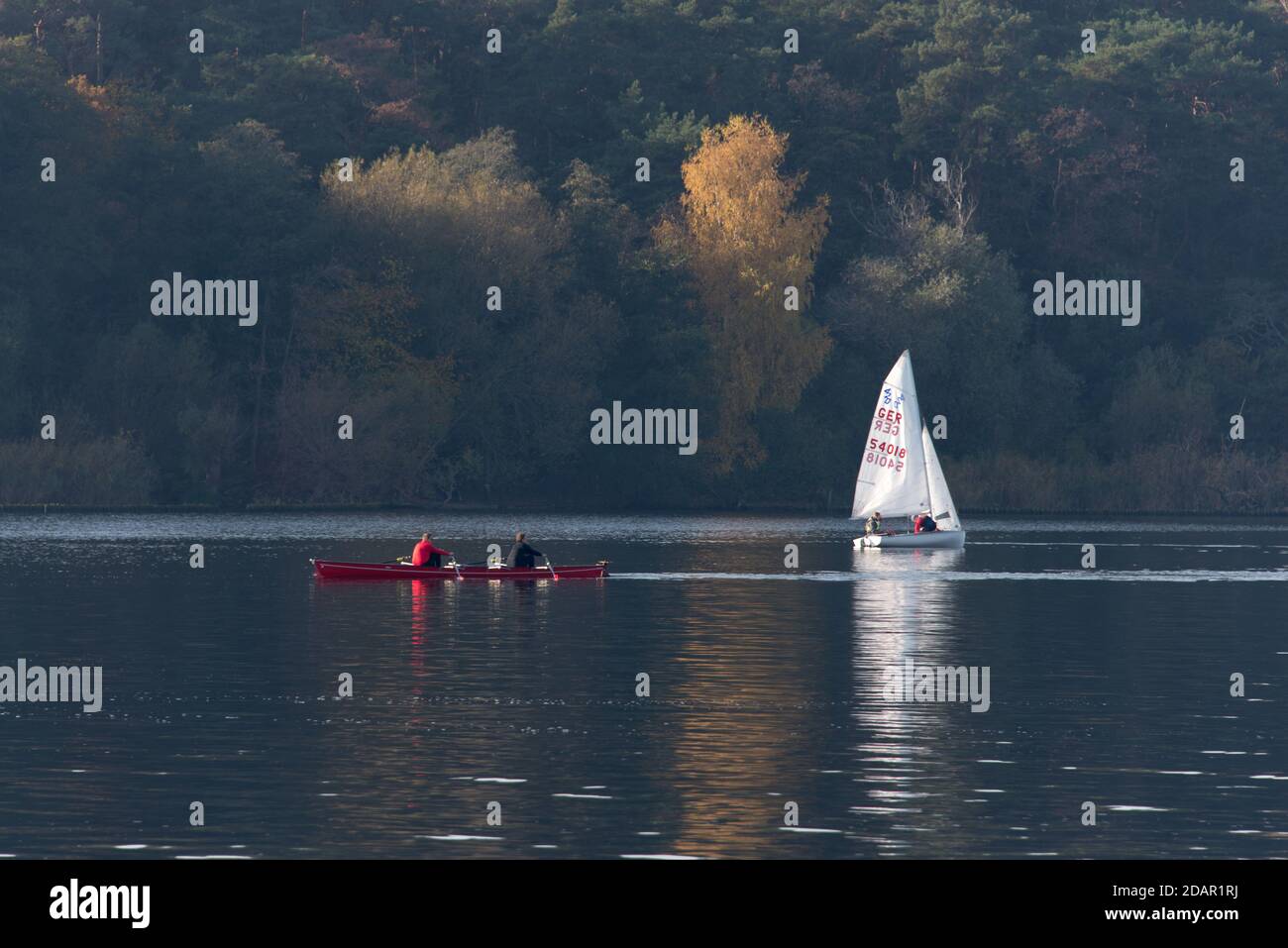 Sports toute l'année au lac Wannsee: L'aviron et la voile sont populaires même en automne sur les lacs de Berlin Banque D'Images