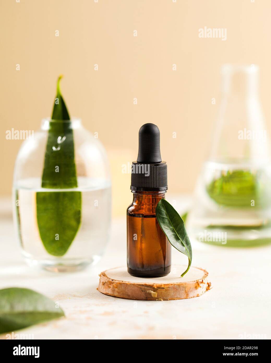 Soins de la peau. Sérum hydratant pour le visage sur un support en bois, derrière un vase et un flacon avec de l'eau et des feuilles vertes. Banque D'Images