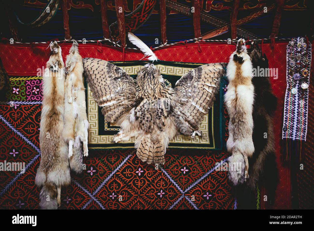 Trophées de l'aigle chasseur Bashakhan SPAI, renard, tanuki et hibou, les peaux de renard qu'il vend au bazar à Olgii, la chouette qu'il garde comme décoration Banque D'Images