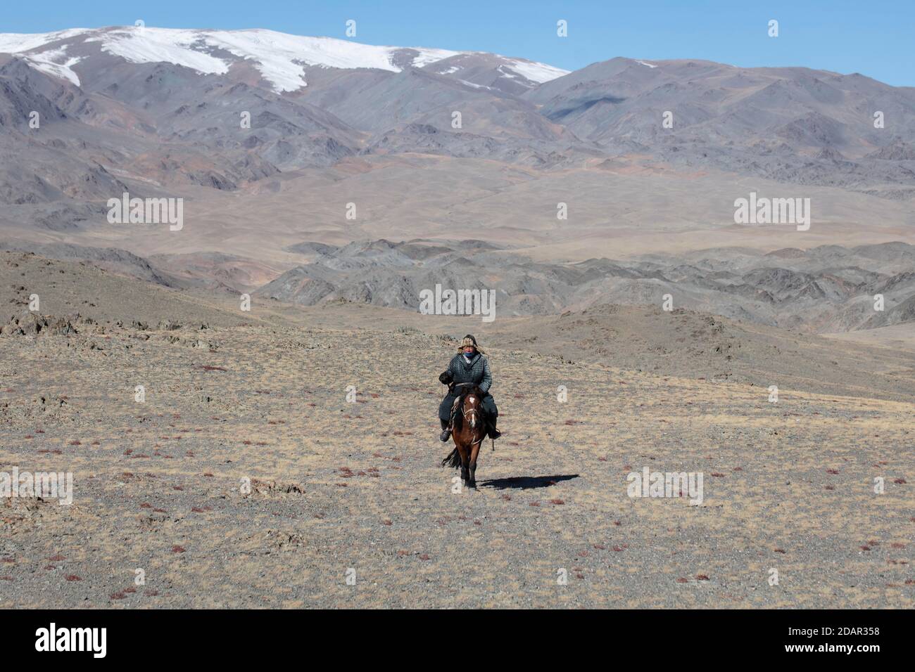 Éleveur de bétail sur son cheval dans les montagnes de l'Altaï, province d'Olgii, Mongolie Banque D'Images