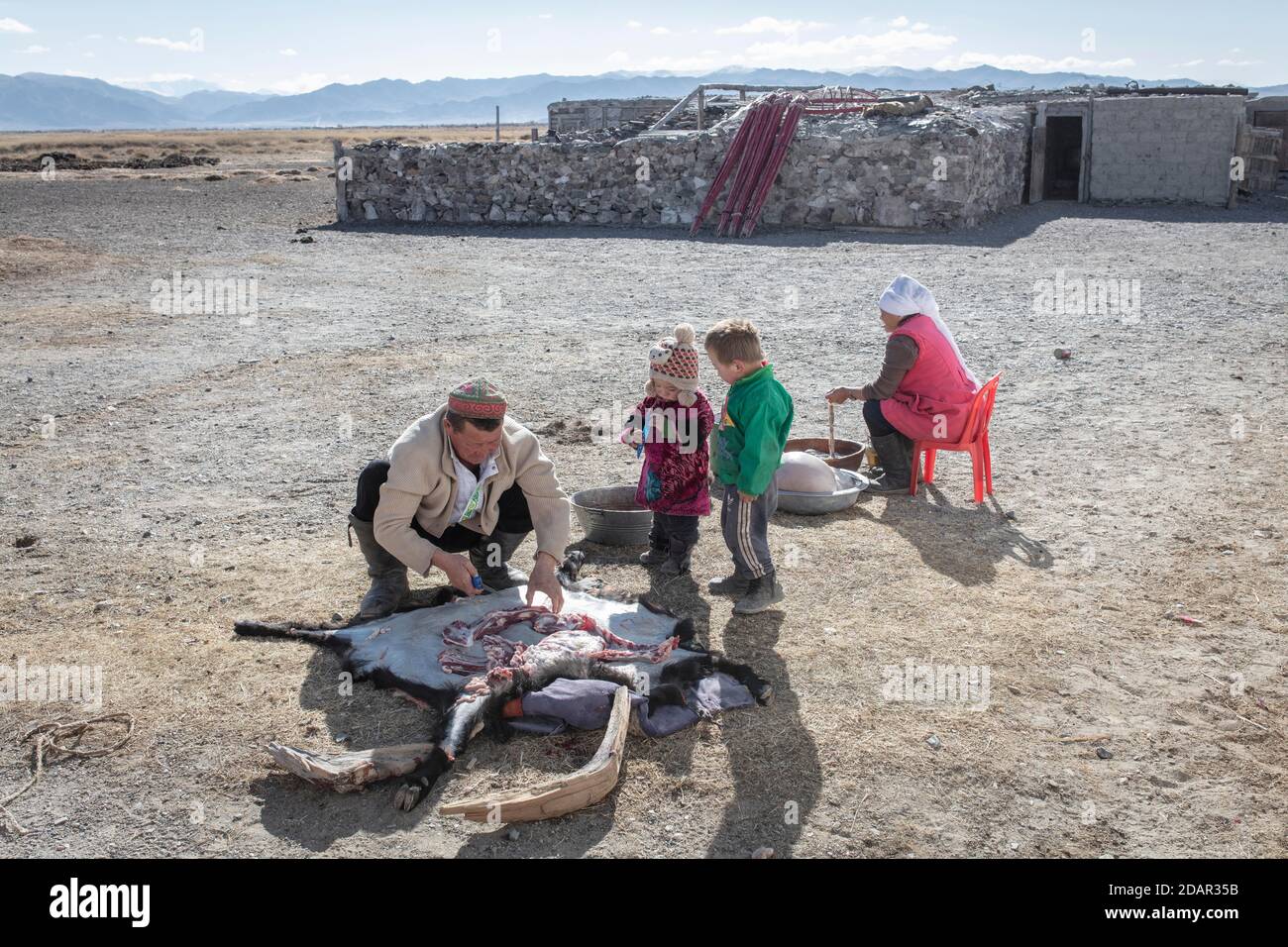 SPAI Bashakhan, chef d'une famille nomade dans les montagnes de l'Altaï, brochant une chèvre, sa femme nettoie les intestins de la province d'Olgii, Mongolie Banque D'Images