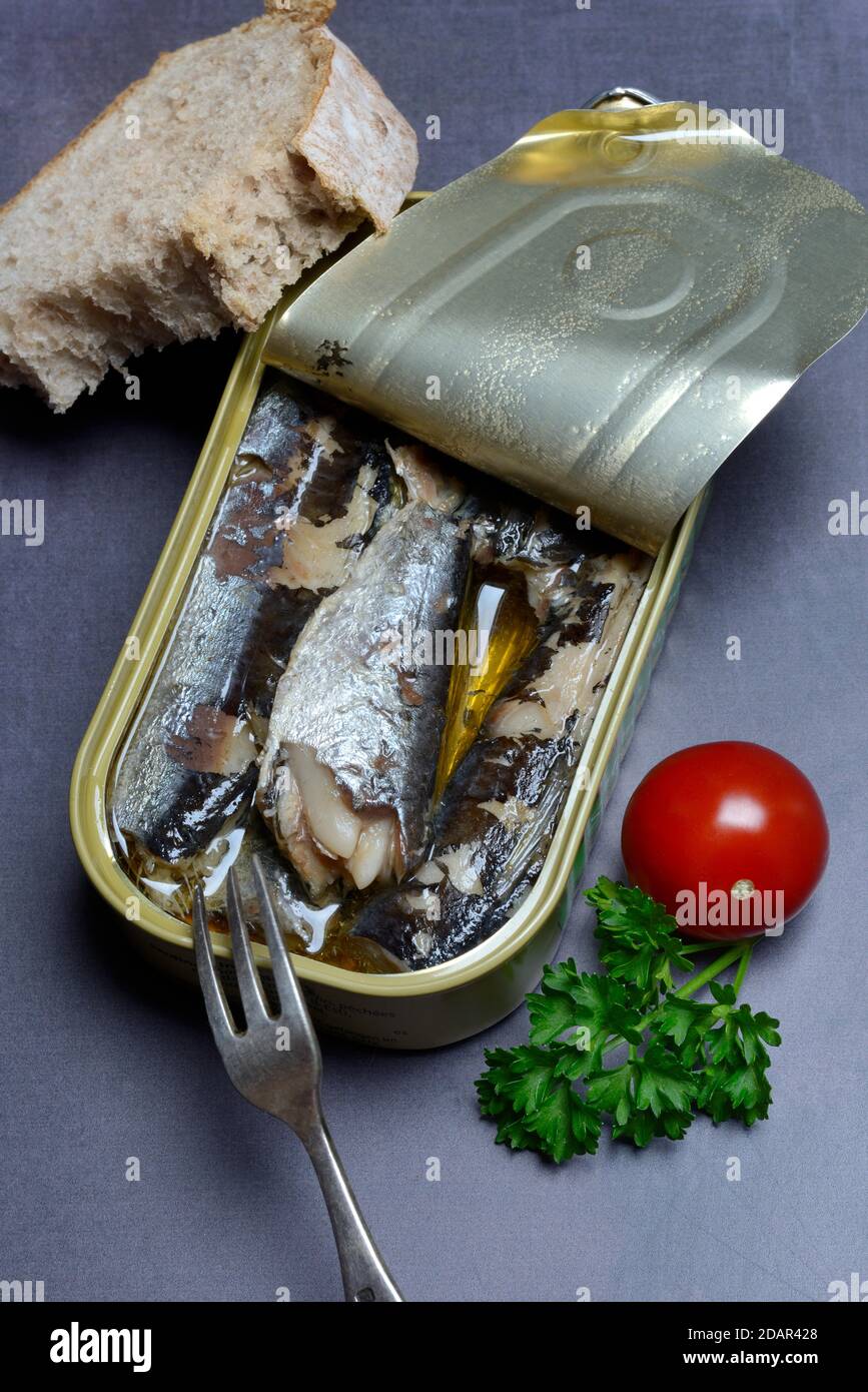 Sardines en étain ouvert avec fourche, Sardines d'huile, Allemagne Banque D'Images