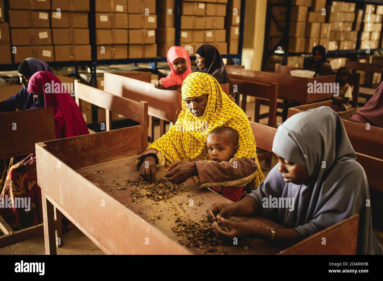 Le grand magasin de Rahiiq, le tri des femmes, le paiement par kilogramme, la femme peut apporter des enfants ou choisir leur propre lieu de travail, Rahiiq vend ses produits Banque D'Images