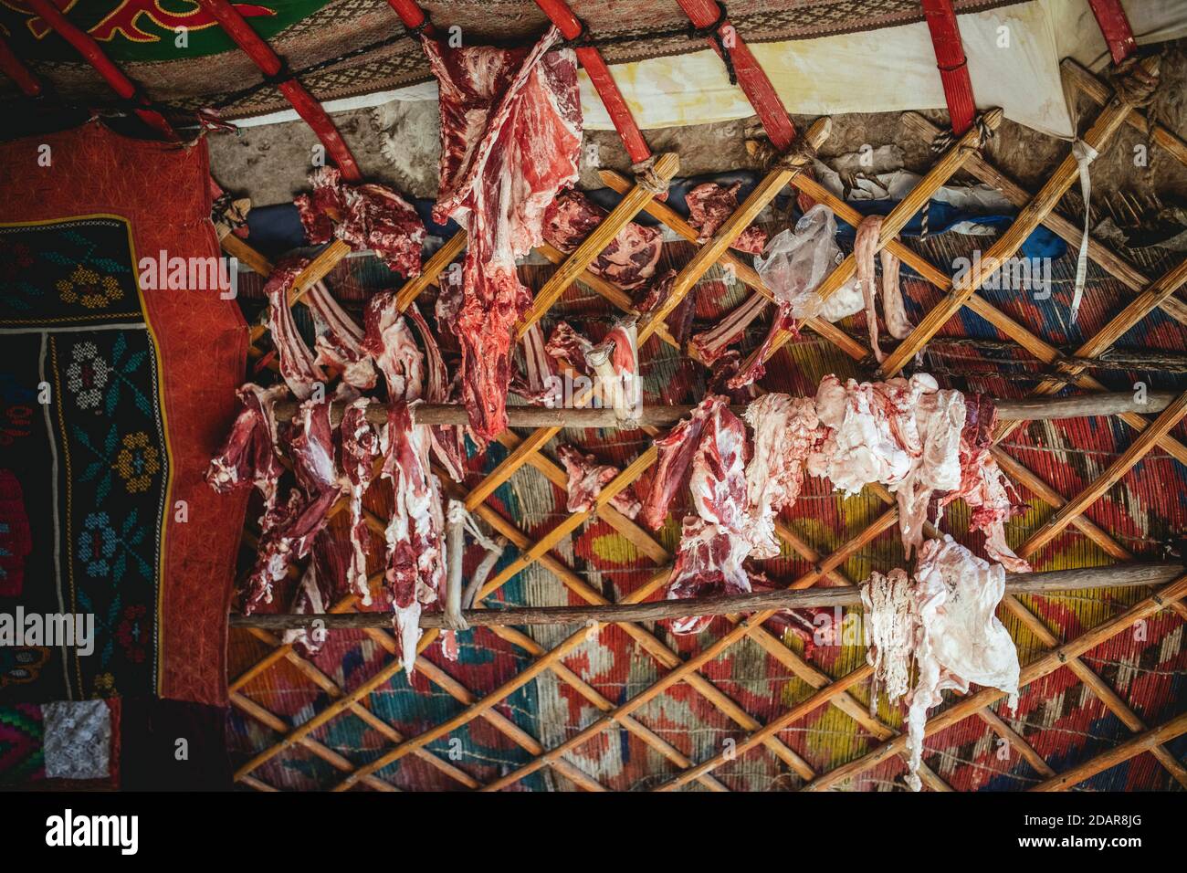 Yourte de l'aigle chasseur Bashakhan SPAI, ici est où la viande est conservée, sur laquelle la famille vivra pour les prochaines semaines, Kisil Tschar, Olgii, Mongolie Banque D'Images
