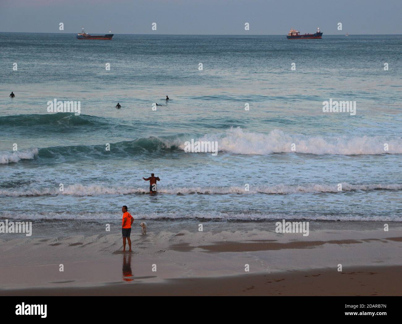 Surf hors de la plage à Sardinero à la tombée de la nuit, un doux soir d'automne Santander Cantabria Espagne a ancré les navires et l'homme chien de marche Banque D'Images