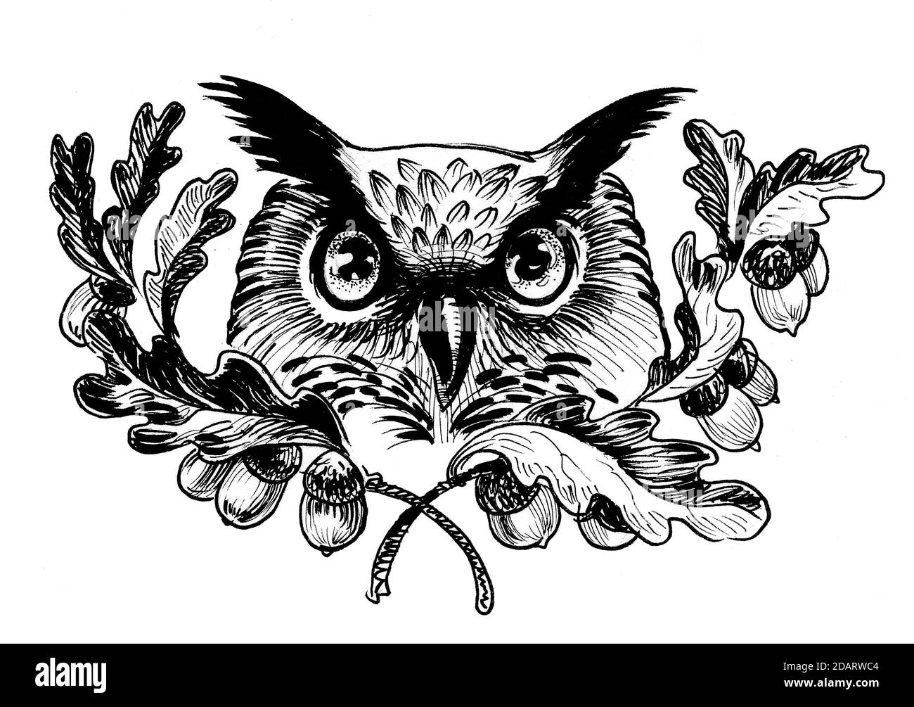 Tête d'oiseau hibou et branches de chêne avec des glands. Dessin noir et blanc Banque D'Images