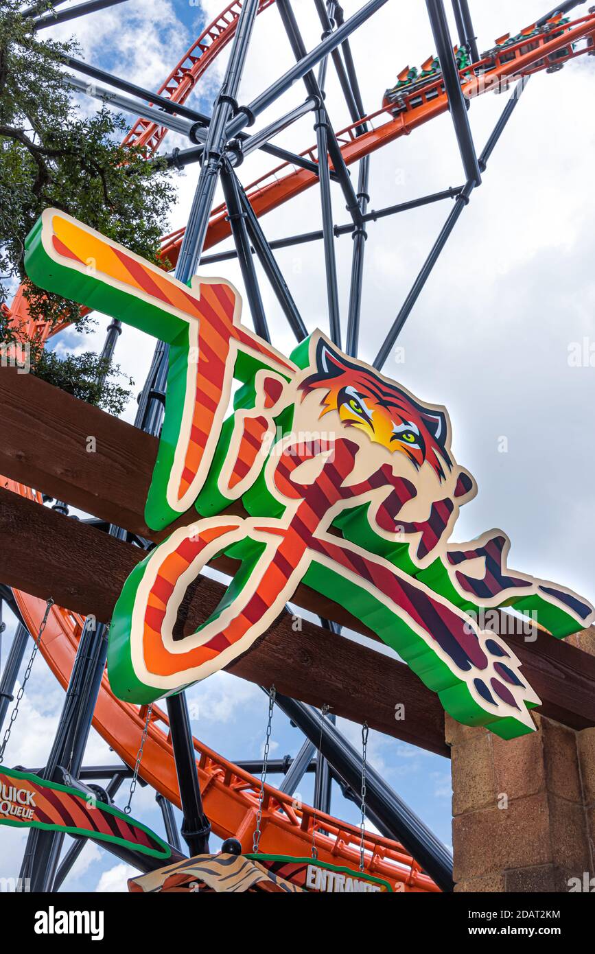 Excursion à bord de montagnes russes extrême au Tigris à Busch Gardens Tampa Bay, en Floride. (ÉTATS-UNIS) Banque D'Images