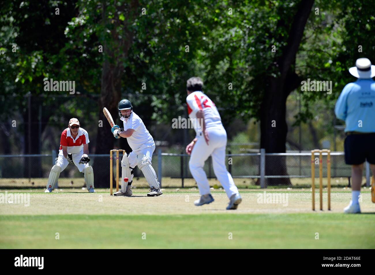 Novembre 2020. Benalla Bushrangers plus de 60 ans v Country Cricket Victoria Banque D'Images