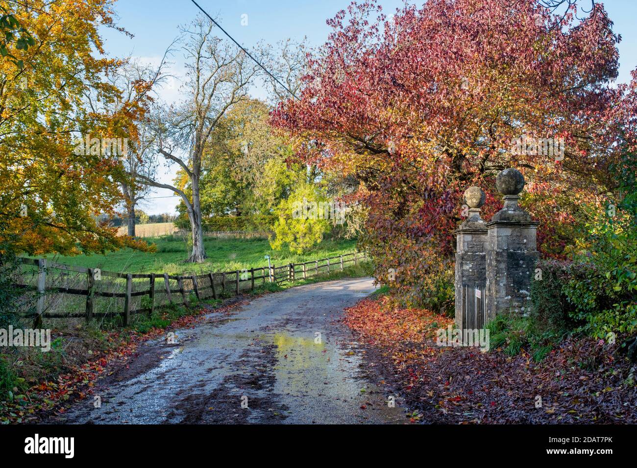 Route de campagne d'automne dans le village de Cornwell, dans les cotswolds. Cornwell, Oxfordshire, Cotswolds, Angleterre Banque D'Images