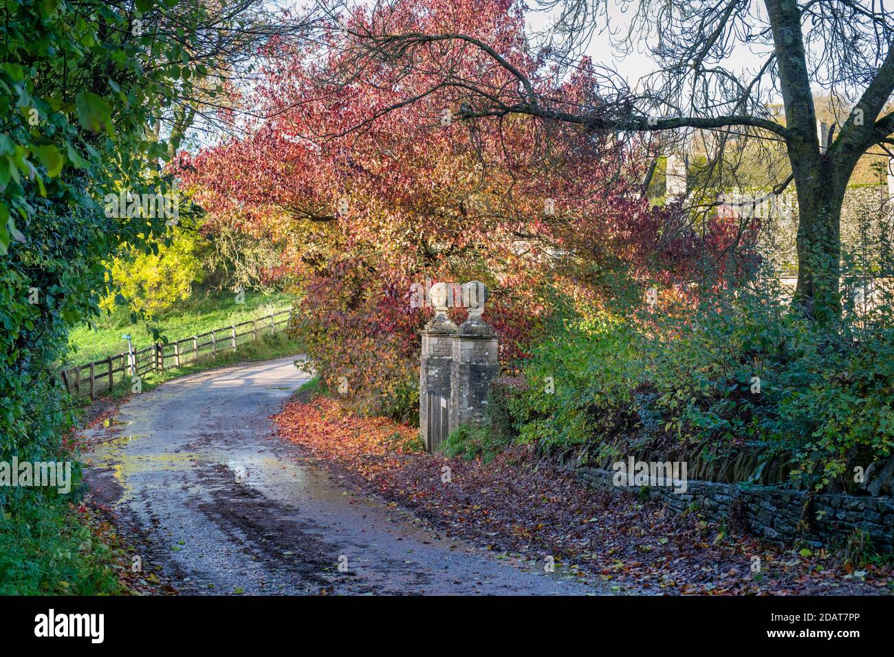 Route de campagne d'automne dans le village de Cornwell, dans les cotswolds. Cornwell, Oxfordshire, Cotswolds, Angleterre Banque D'Images