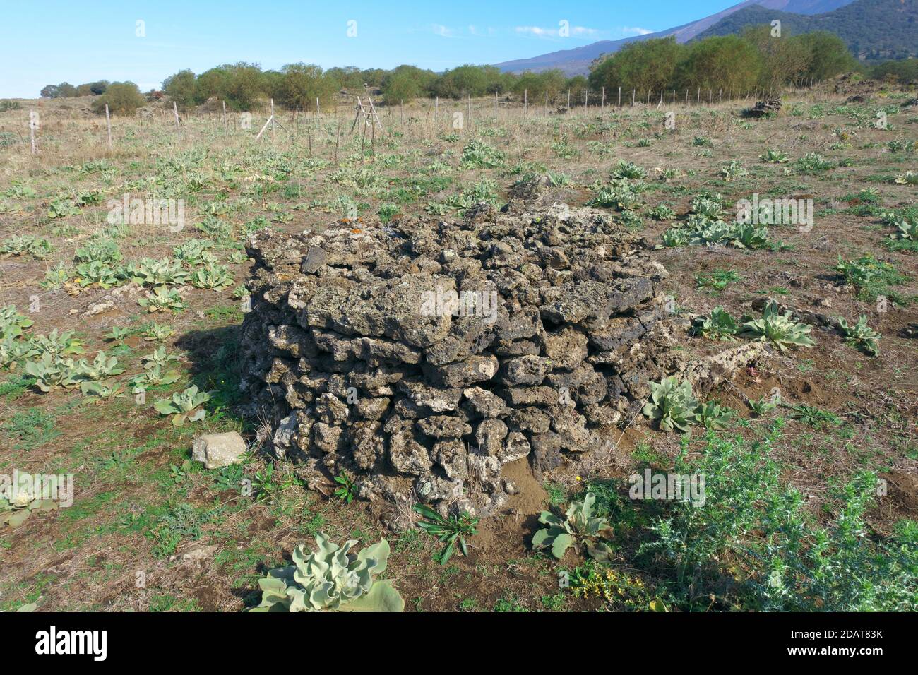Pierres de lave empilées du sol labouré dans le parc Etna Un point de repère d'un voyage en Sicile entre la culture et nature Banque D'Images