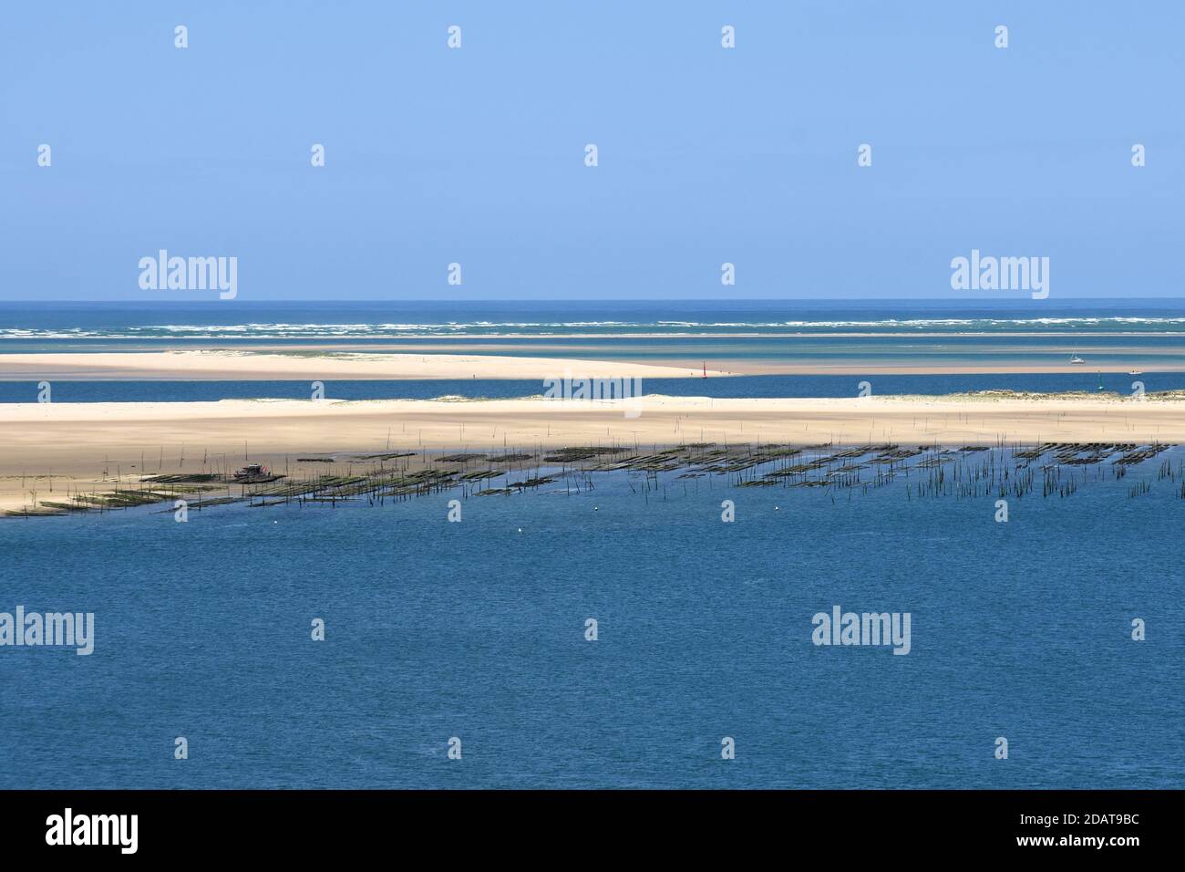 France, Aquitaine, lits d'huîtres de la rive de sable d'Arguin dans le bassin d'Arcachon sur l'océan atlantique vu de la dune de Pilat. Banque D'Images