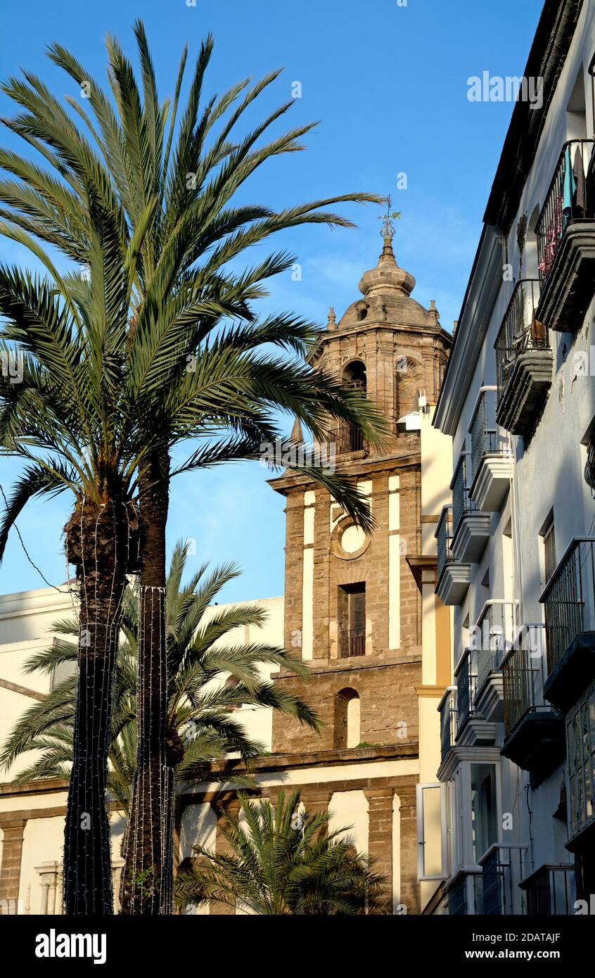 Vue partielle de l'église du XVIIe siècle de Santiago de Apostol dans le centre historique de Cadix en Andalousie (Espagne), avec palmtrees en premier plan. Banque D'Images
