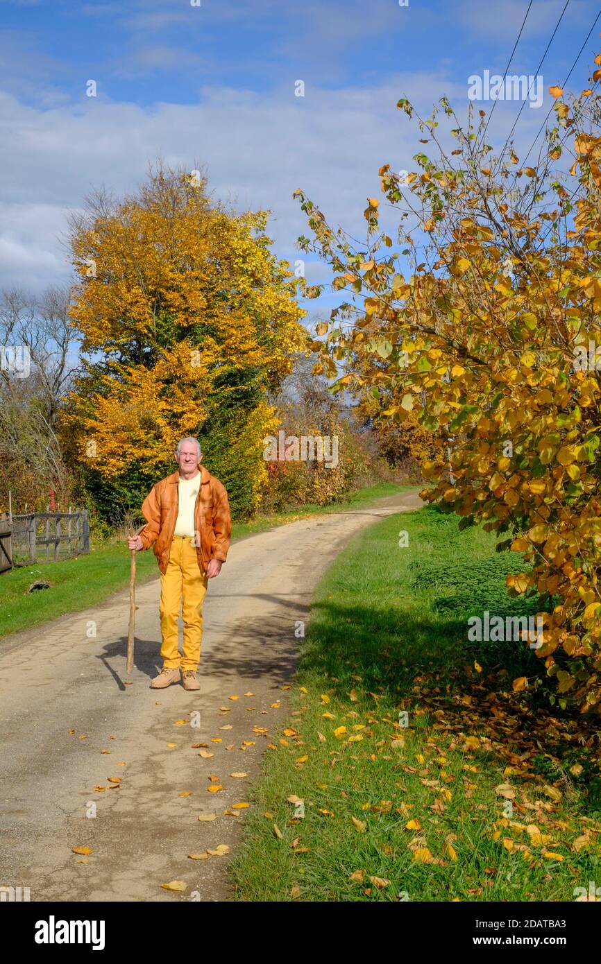 un homme plus âgé marchant le long d'une ruelle rurale entourée d'arbres en automne couleurs zala comté hongrie Banque D'Images